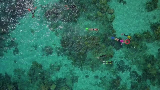 航拍:人们浮潜在明亮的蓝色海洋上，大堡礁，澳大利亚视频素材