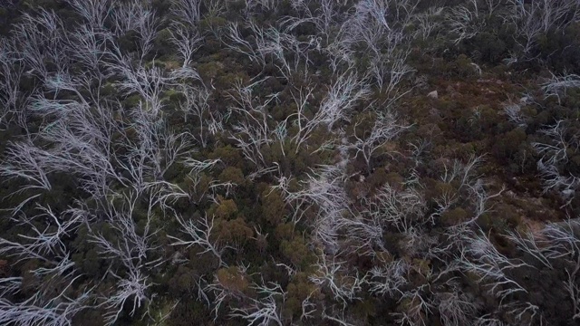 鸟瞰图:雾蒙蒙的天空下岩石地形上的干燥灌木丛，科修斯科国家公园，澳大利亚视频素材