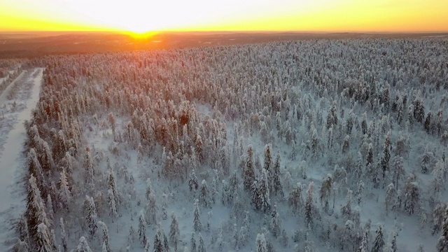 航拍:俄罗斯乌斯瓦白雪松林上美丽的日落视频素材