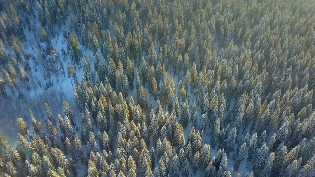 空中倾斜:美丽的雪景与冰冻的河流，Usva，俄罗斯视频素材