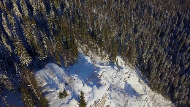 航拍:俄罗斯乌斯瓦风景名胜区雪山松林视频素材