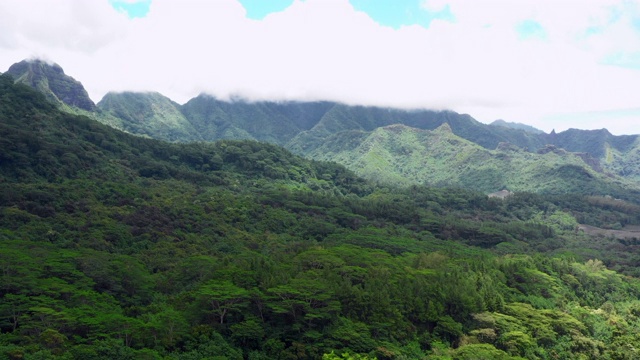 航拍:法属波利尼西亚莫雷阿热带岛屿的繁茂地形视频素材