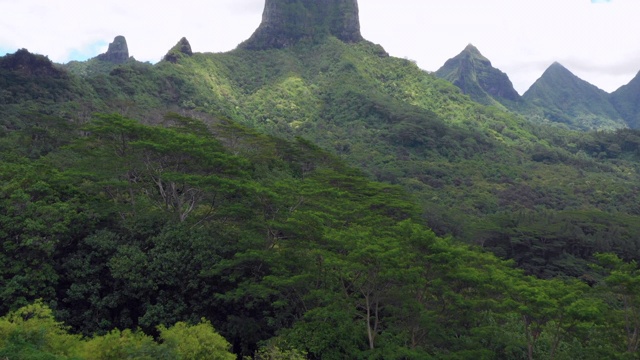 航拍:一个女人走在法国波利尼西亚莫雷阿的一座高大平坦的山上视频素材