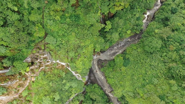 飞越热带森林里的山河视频素材