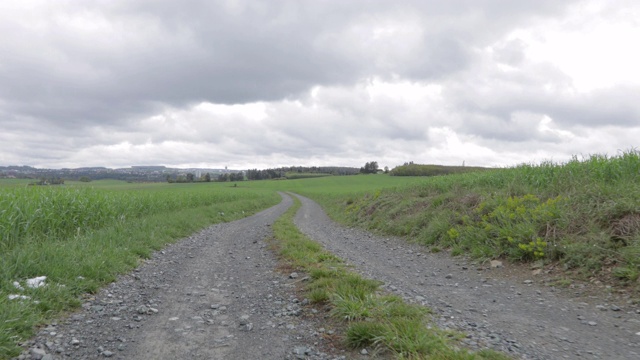 乡村景观中的乡村道路(摇摄)视频素材