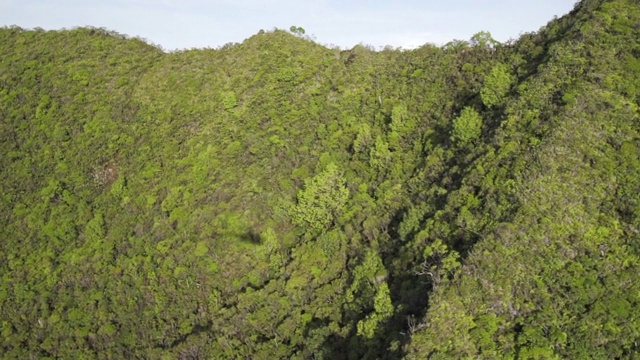 慢镜头:纳帕利海岸州立公园郁郁葱葱的森林和山脊线，考艾岛，夏威夷视频素材