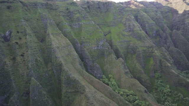 慢动作/左旋:直升机叶片在洛基夏威夷山，考艾岛，夏威夷视频素材