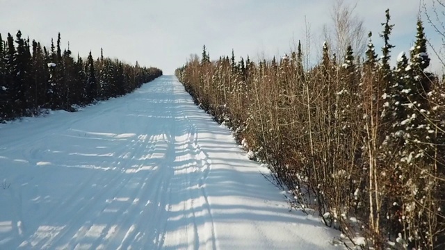 空中下降:被森林包围的雪坡，费尔班克斯，阿拉斯加视频素材