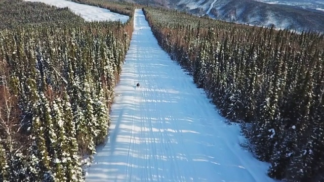 慢镜头/空中向前:雪地摩托驾驶下雪山，费尔班克斯，阿拉斯加视频素材