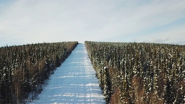 慢镜头/空中出口:雪坡尽头的雪地摩托，费尔班克斯，阿拉斯加视频素材