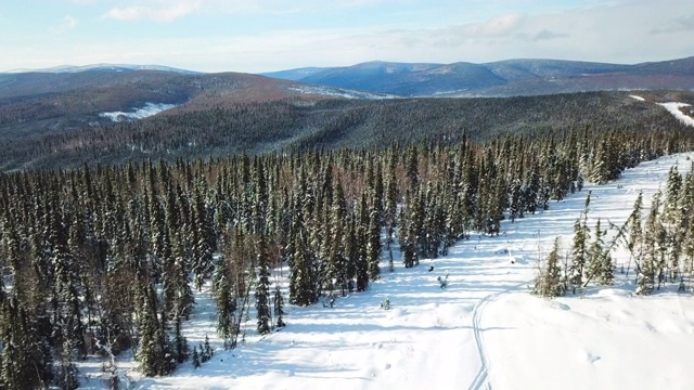 空中出口/下降:阿拉斯加费尔班克斯森林山谷环绕的雪山上的雪地摩托轨道视频素材