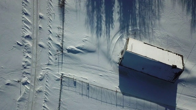 空中向前:阿拉斯加，费尔班克斯，雪地上的树影视频素材