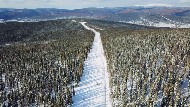 空中出口:雪地摩托从阿拉斯加费尔班克斯森林之间的雪山上开下来视频素材