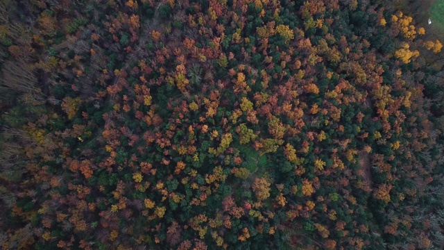 航拍的美丽森林与秋天的颜色在加泰罗尼亚山脉视频素材