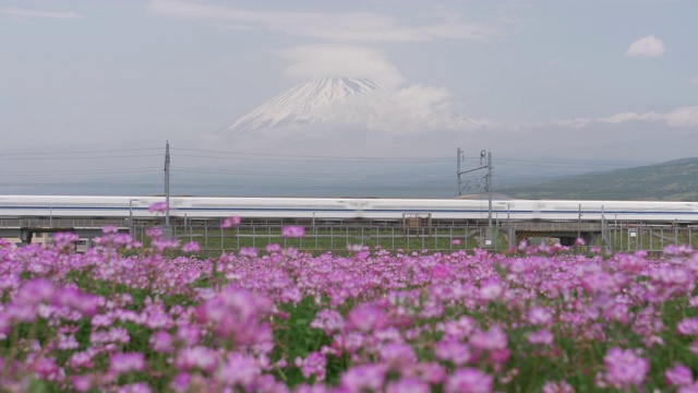 经过富士山和莲花山的子弹头列车视频素材