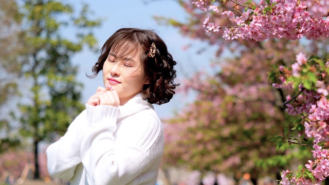 美丽的中国年轻女孩在白色衣服摆姿势，闭上眼睛在微风中，享受阳光明媚的春天与粉红色的樱花森林背景，4k电影，慢镜头。视频素材