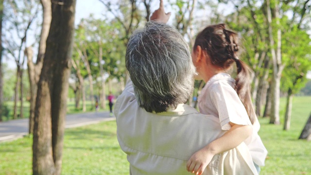 亚洲爷爷在公园散步，听孙女说话。慢动作视频素材