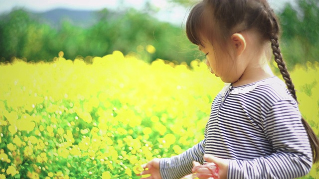 可爱的小女孩在花圃里视频素材