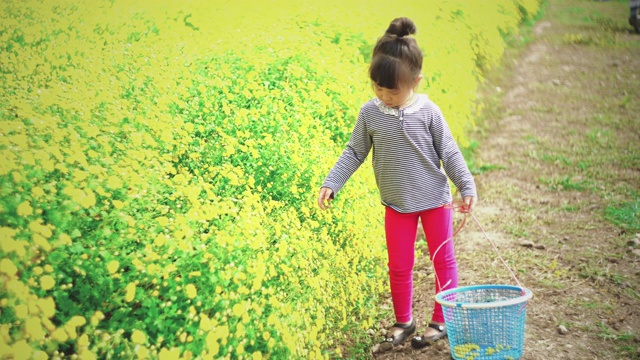 可爱的小女孩在花圃里视频素材