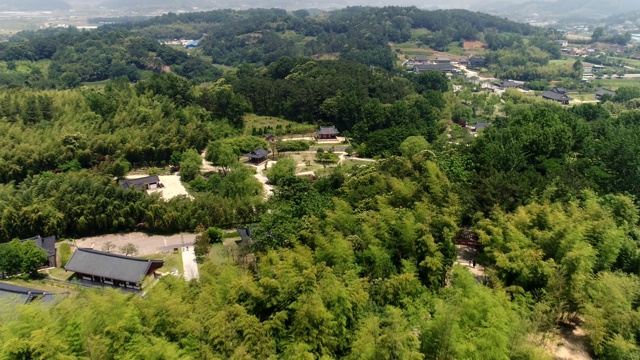 韩国丹阳竹林鸟瞰图视频素材