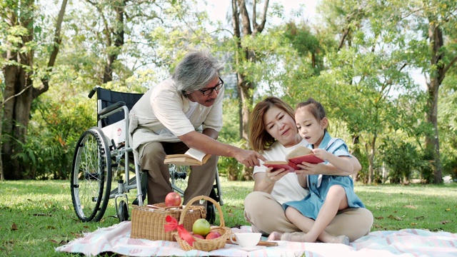 亚洲奶奶爷爷坐在轮椅上，孙女在公园里放松的时候。慢动作视频素材