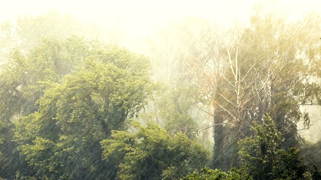 雨视频素材