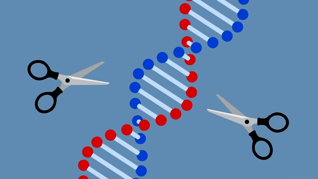 Crispr -基因编辑视频素材