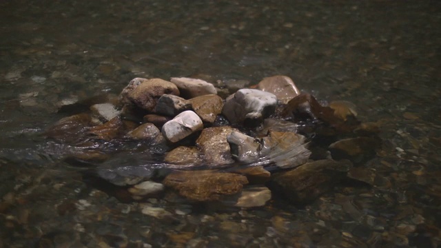 日本和歌山河中的鳗鱼锅视频素材