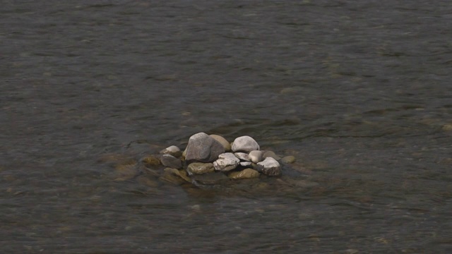 日本和歌山河中的鳗鱼锅视频素材