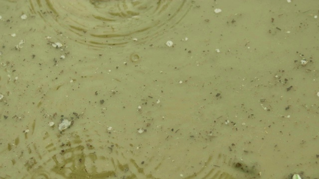 起涟漪的雨滴视频素材