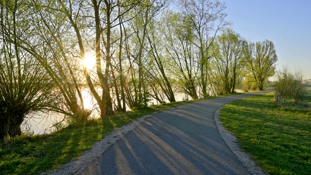 德国巴伐利亚州，Franconia中部，Gunzenhausen, Muhr am See，春天日出时的湖上小路Altmühlsee视频素材