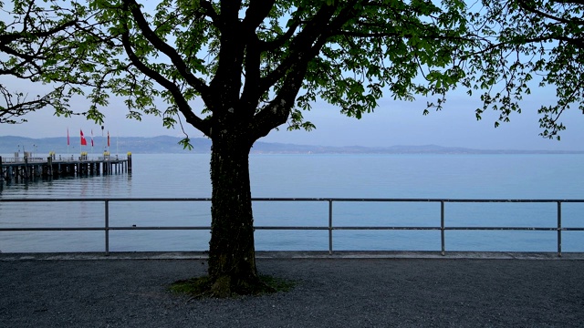 早上和卡斯塔尼鲍姆在湖边，克里斯布隆姆博登西，康斯坦茨湖，Baden-Württemberg，德国视频素材