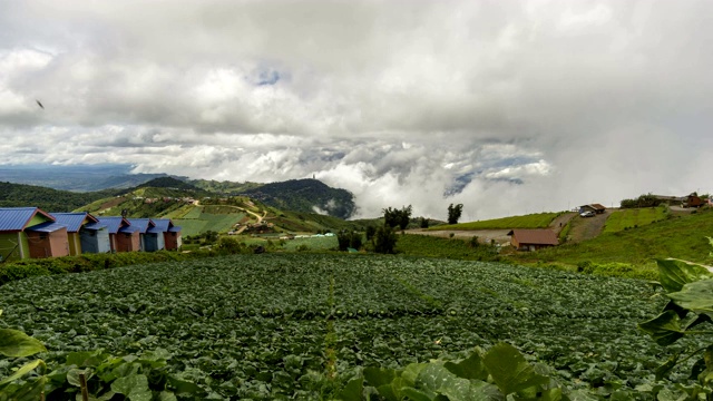 在Phutubberk山顶上有雾，雾笼罩着山峰和森林。雨后自然视频素材