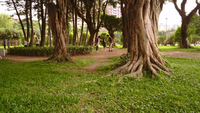 年轻的家庭在台北的一个公园里玩视频素材