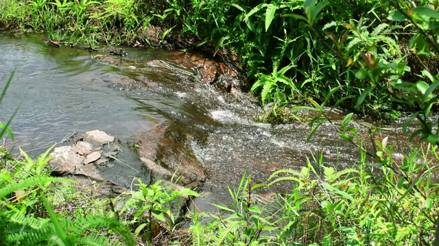 小溪中水流的运动。放松水背景。视频素材