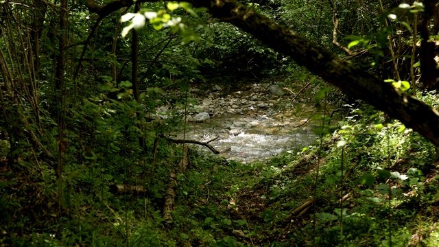 山区河流视频素材