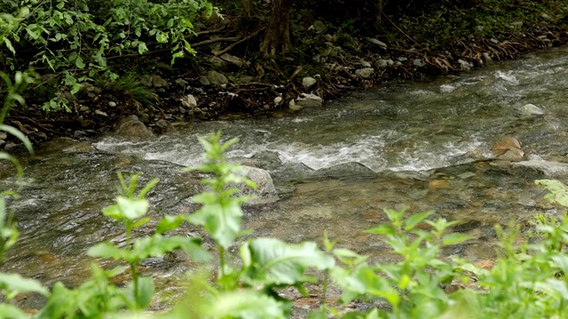 山区河流视频素材