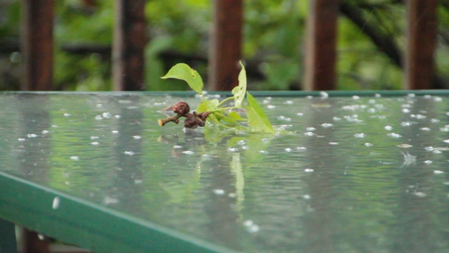 第一场春雨落在庭院桌上的树叶和踏板上视频素材