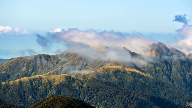 在新西兰野生自然塔拉鲁阿山脉森林公园，云雾在山脊上移动视频素材