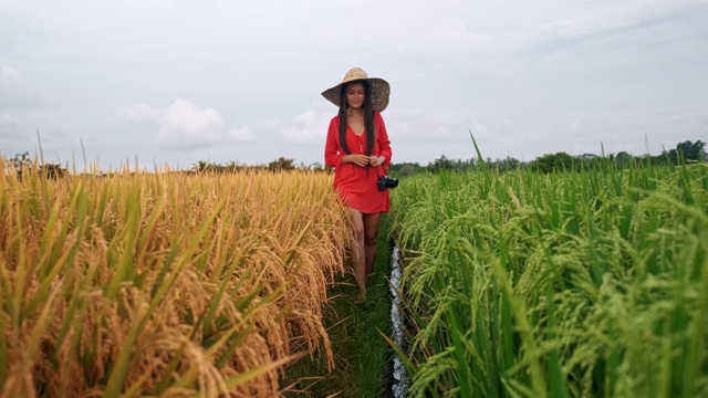 性感的年轻女人在白色的裙子享受在美丽的夏天日落紫罗兰薰衣草filed。年轻的女性享受自然和阳光在秸秆田。视频素材