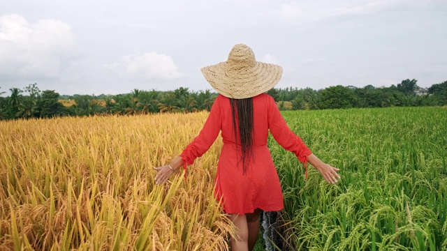 性感的年轻女人在白色的裙子享受在美丽的夏天日落紫罗兰薰衣草filed。年轻的女性享受自然和阳光在秸秆田。视频素材