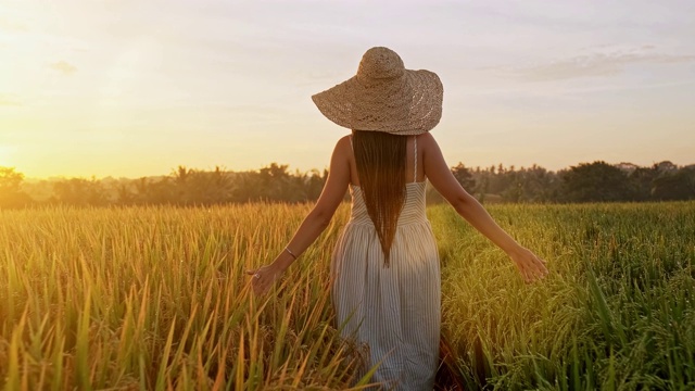 性感的年轻女人在白色的裙子享受在美丽的夏天日落紫罗兰薰衣草filed。年轻的女性享受自然和阳光在秸秆田。视频素材