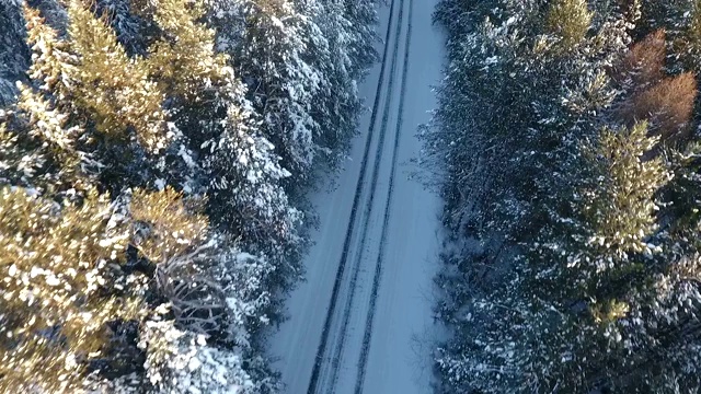 航拍的冬天的道路在树林视频素材