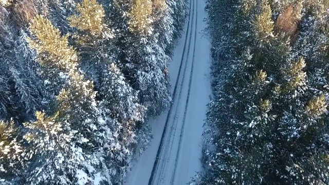 航拍的冬天的道路在树林视频素材