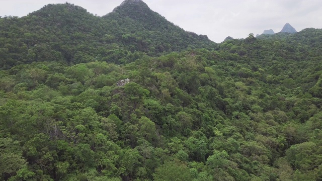 4k分辨率在树顶和山上移动的茂密雨林鸟瞰图视频素材