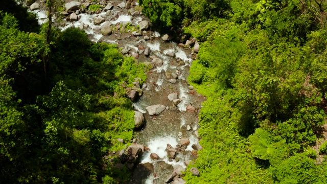 河流在菲律宾卡米圭因的山区丛林中流淌视频素材