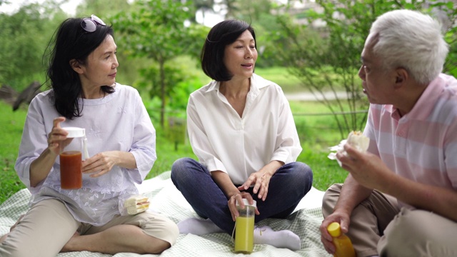 老年人在公园野餐视频素材