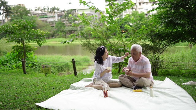 已婚台湾老年夫妇正在野餐视频素材