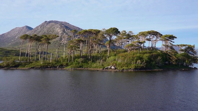 松树岛，Derryclare湖，十二松岛视频素材