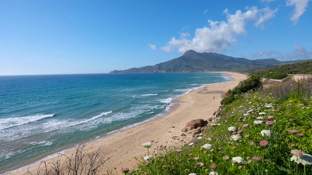 大海，海浪，撒丁岛，卡波圣马可，海滩，鲜花，田野，天空，太阳，汹涌的大海，岩石，黄昏，阳光，自然，旅行，景观，夏天，春天，水，日落，沙滩，全高清格式，电影，美丽，视图，背景，云，户外，美丽，旅游，视频素材